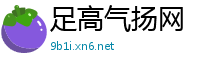 足高气扬网